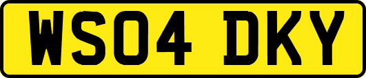 WS04DKY