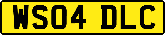 WS04DLC
