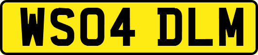 WS04DLM