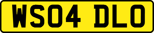 WS04DLO