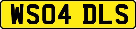 WS04DLS