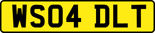 WS04DLT