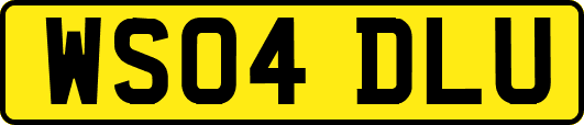 WS04DLU
