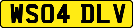 WS04DLV