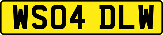 WS04DLW