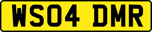 WS04DMR
