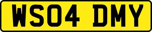 WS04DMY