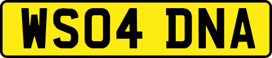 WS04DNA