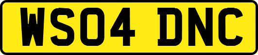 WS04DNC