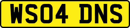 WS04DNS