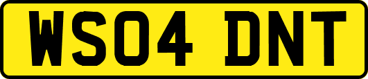 WS04DNT