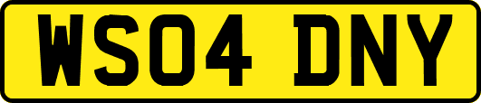 WS04DNY