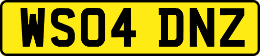 WS04DNZ