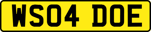 WS04DOE