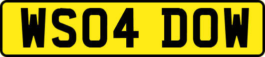 WS04DOW