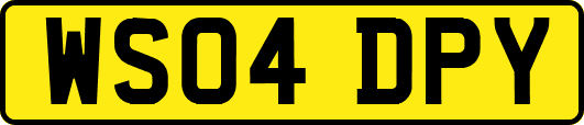 WS04DPY