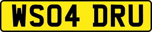 WS04DRU