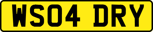 WS04DRY