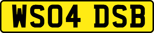 WS04DSB