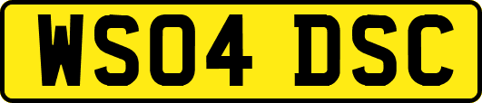 WS04DSC