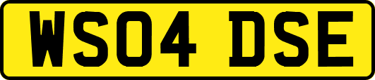 WS04DSE