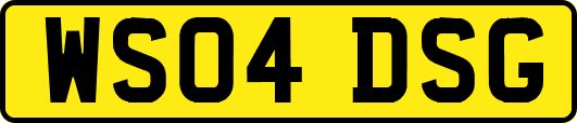 WS04DSG