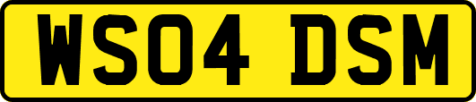 WS04DSM