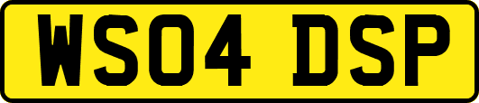 WS04DSP