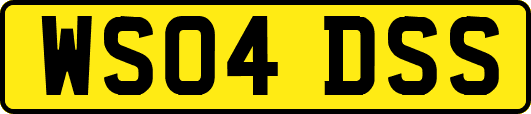 WS04DSS