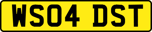 WS04DST