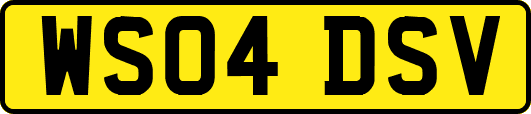 WS04DSV