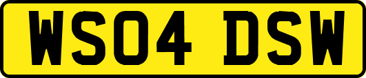 WS04DSW