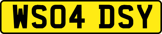 WS04DSY