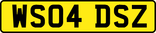 WS04DSZ