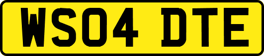 WS04DTE