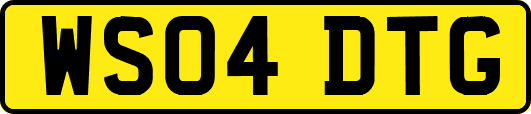 WS04DTG