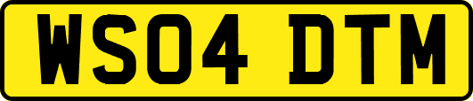 WS04DTM