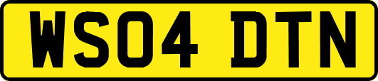 WS04DTN