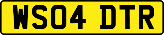 WS04DTR