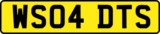 WS04DTS