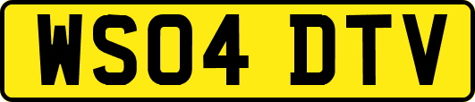WS04DTV