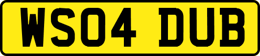 WS04DUB