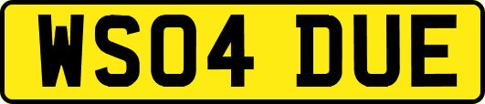 WS04DUE