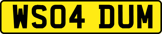 WS04DUM