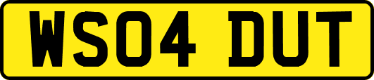 WS04DUT