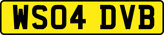 WS04DVB