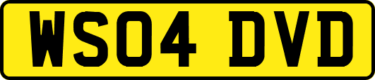WS04DVD