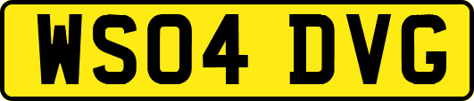 WS04DVG