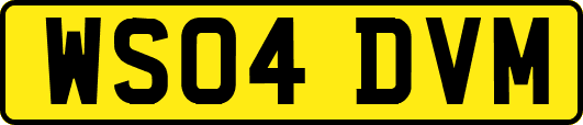 WS04DVM