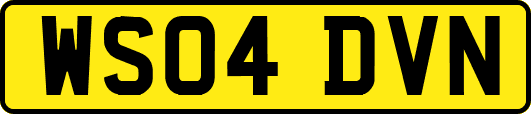 WS04DVN
